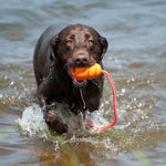 AQUA KONG Dog Toy