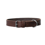 Brown leather dog collar front