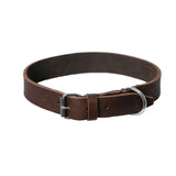 Brown leather dog collar stainless steel
