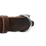 Brown leather dog collar stainless steel hoop