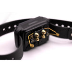 CPAD 010 Soft Wing Comfort Pad E-Collar Contact Points
