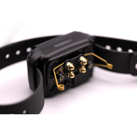 CPAD 010 Soft Wing Comfort Pad E-Collar Contact Points