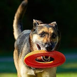 Chuckit! Rugged Flyer Floatable Dog Frisbee