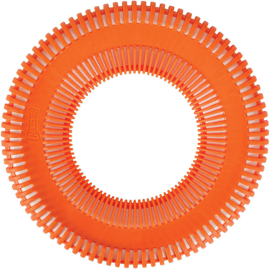 Chuckit! Rugged Flyer Floatable Dog Frisbee