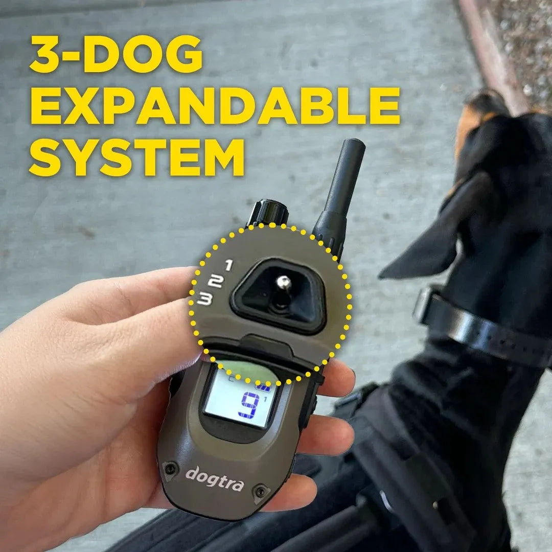 Dogtra System Dogtra E-Collars & Training Equipment | K9 Store