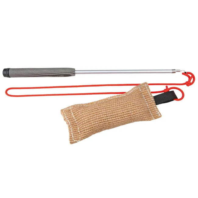 Flirt Pole Dog Toy with Dummy