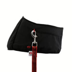 IQ Dogsport Multifunctional Dog Training Belt leash