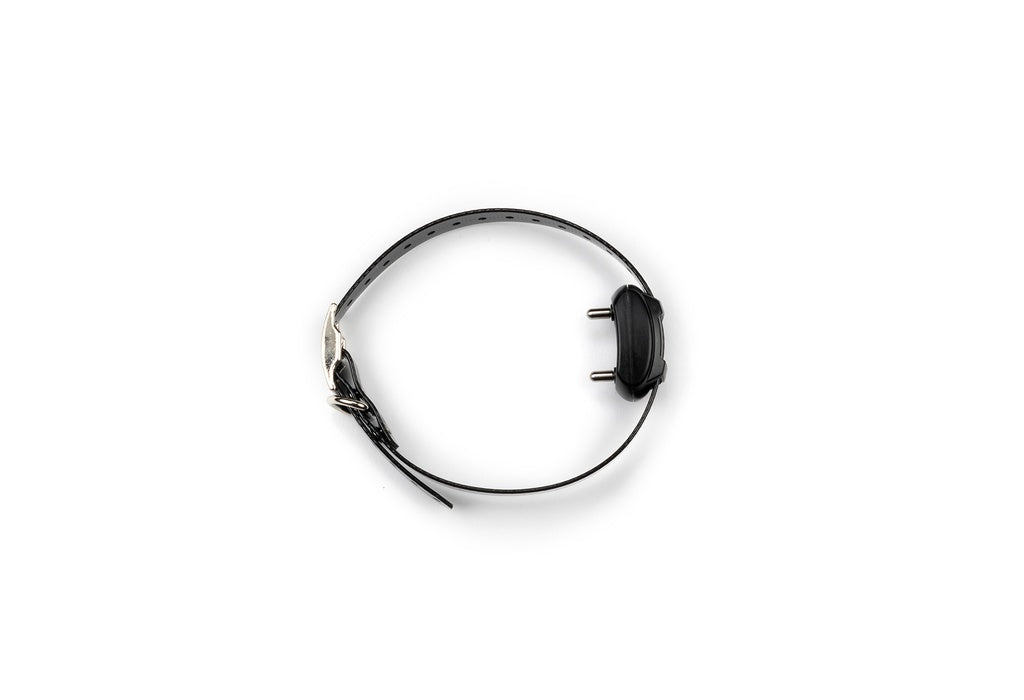 MICRO B PRO TRAINER 3000 S.S.C. e-collar