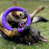 Puller Rings Fitness Tool Tug Toy Purple