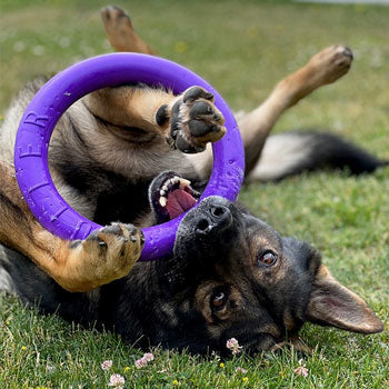 Puller Rings Fitness Tool Tug Toy Purple