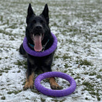 Puller Rings Fitness Tool Tug Toy Purple