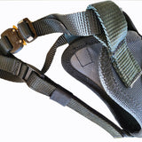 Schweikert K9 Muzzle with Forehead Strap Cobra clasp