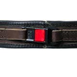 Schweikert Leather Hunting Dog Collar with Brass Swivel Clasp Detail