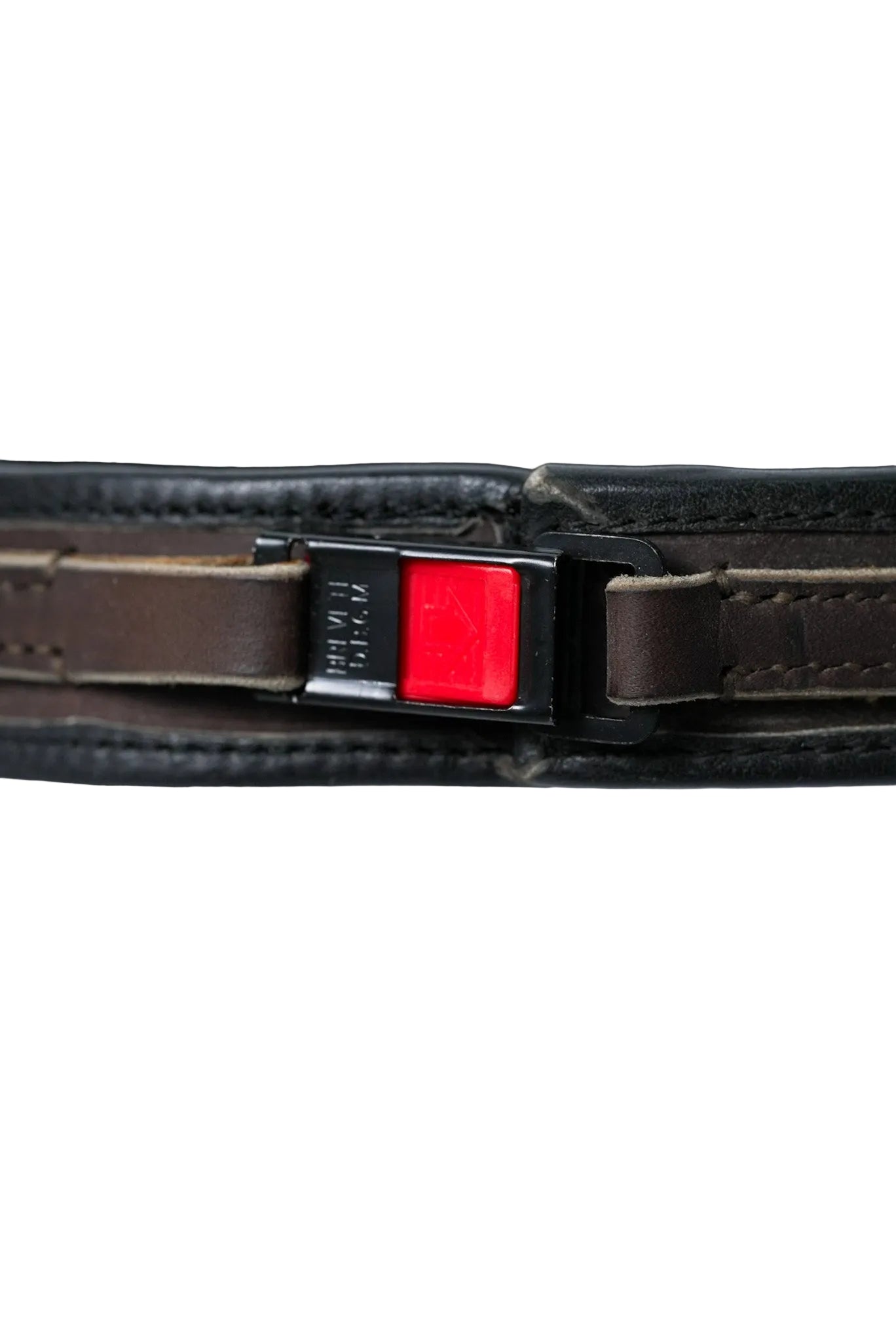 Schweikert Leather Hunting Dog Collar with Brass Swivel Clasp Detail