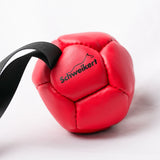 Schweikert Leather Football with Handle - Air-Filled red front
