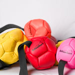 Schweikert Leather Football with Handle - Air-Filled - Group