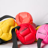 Schweikert Leather Football with Handle - Air-Filled - Group