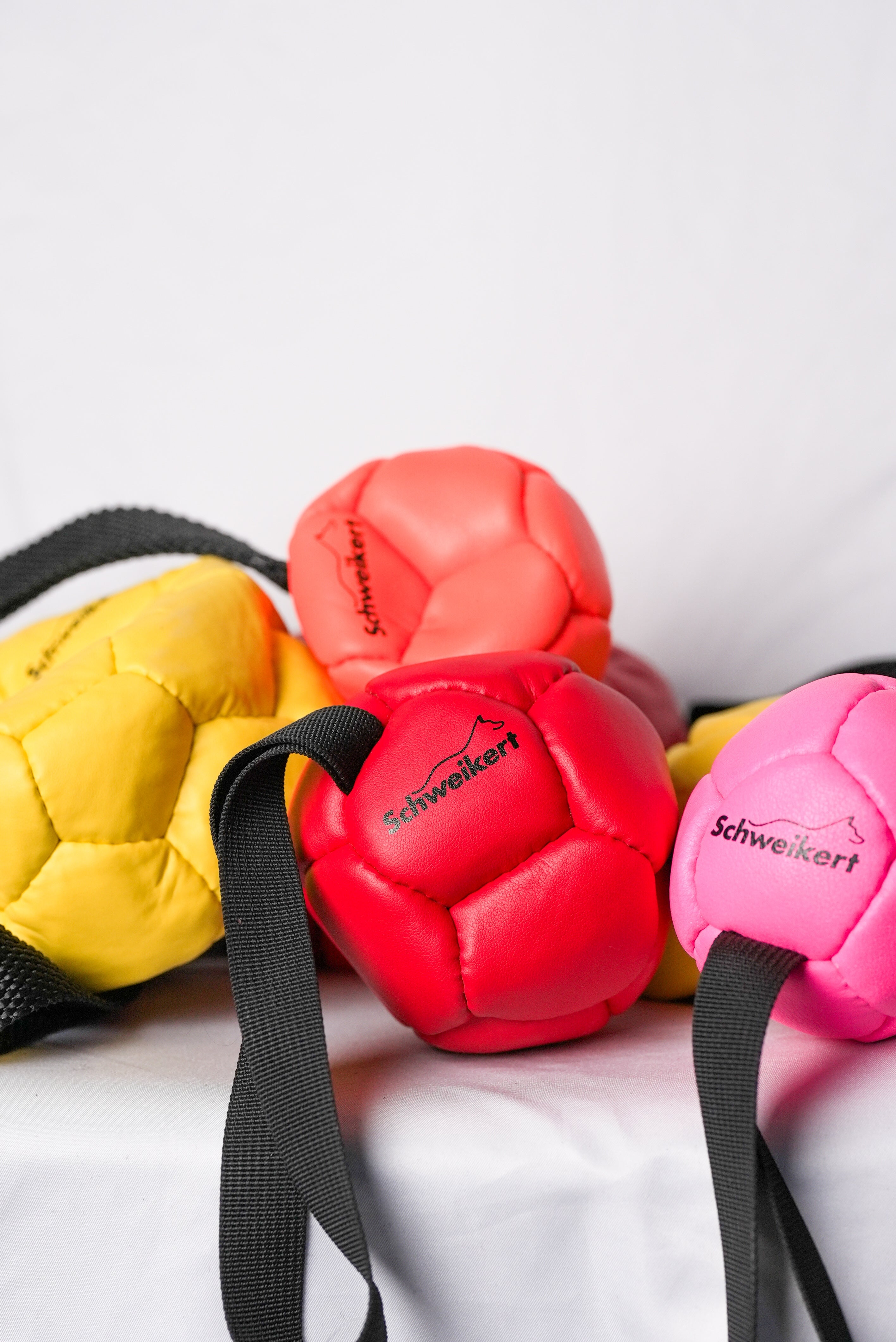 Schweikert Leather Football with Handle - Air-Filled - Group