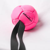 Schweikert Leather Football with Handle - Silicon-Filled 8cm pink side