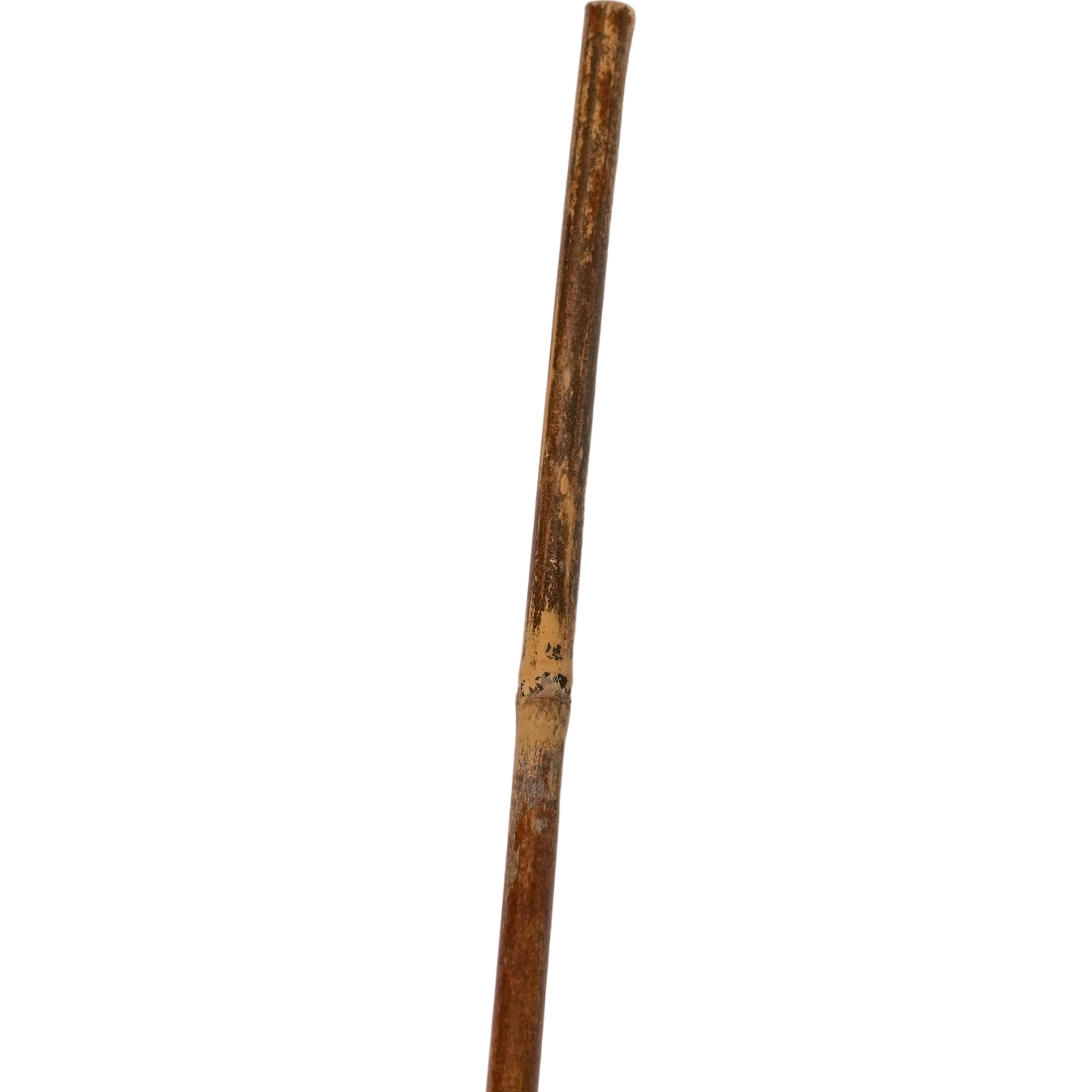 Schweikert Reed Stick 80cm end