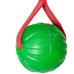 Schweikert Treat Dispensing Chew Ball with Handle dispenser ball