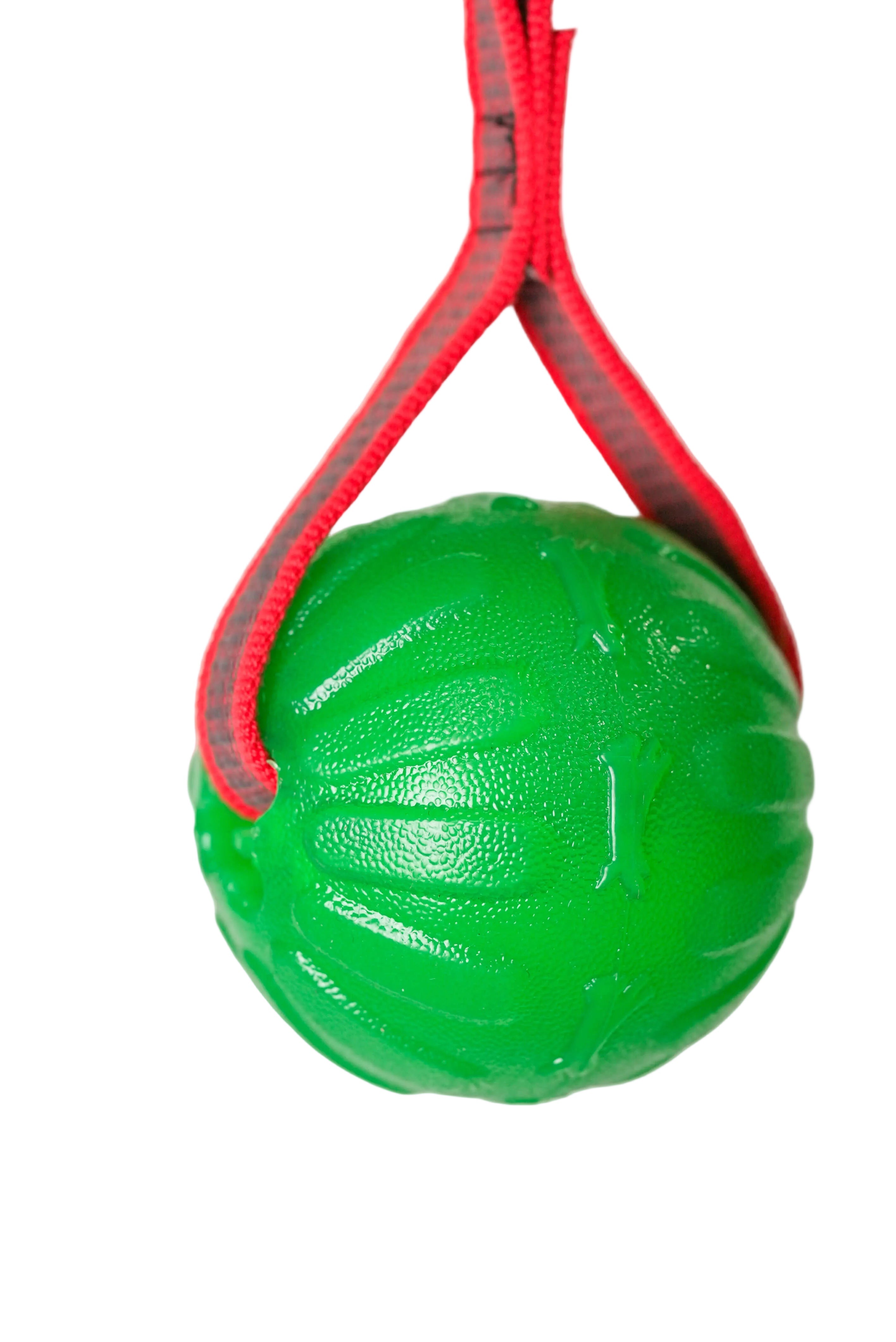 Schweikert Treat Dispensing Chew Ball with Handle dispenser ball