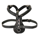 Schweikert Working Dog Leather Harness angle