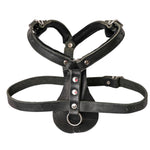 Schweikert Working Dog Leather Harness angle