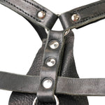 Schweikert Working Dog Leather Harness chest padding