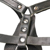 Schweikert Working Dog Leather Harness chest padding
