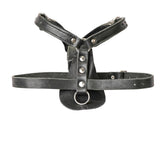 Schweikert Working Dog Leather Harness front