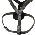 Schweikert Working Dog Leather Harness side view