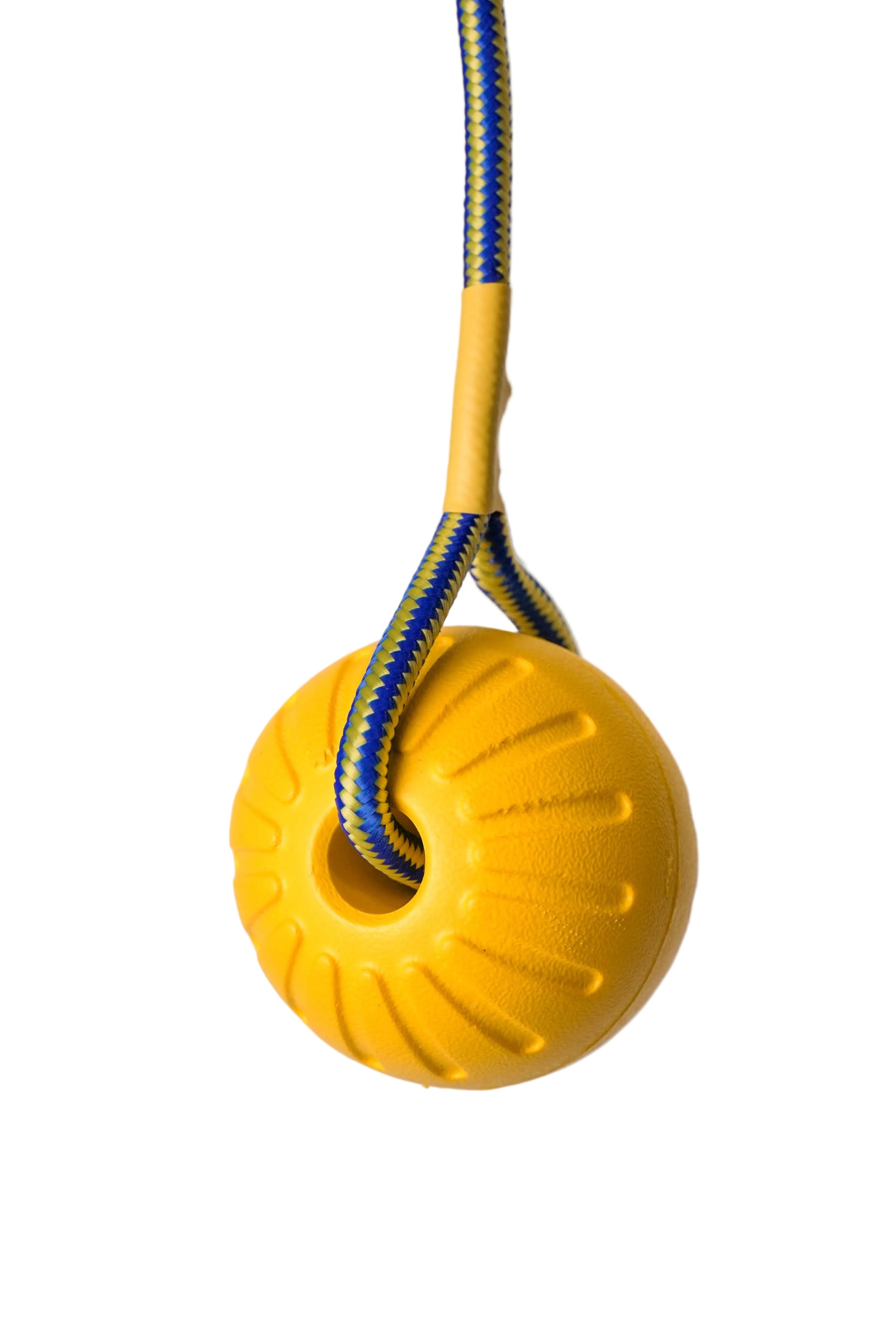 Schweikert Yellow Foam Ball on a Rope angle