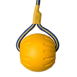 Schweikert Yellow Foam Ball on a Rope front