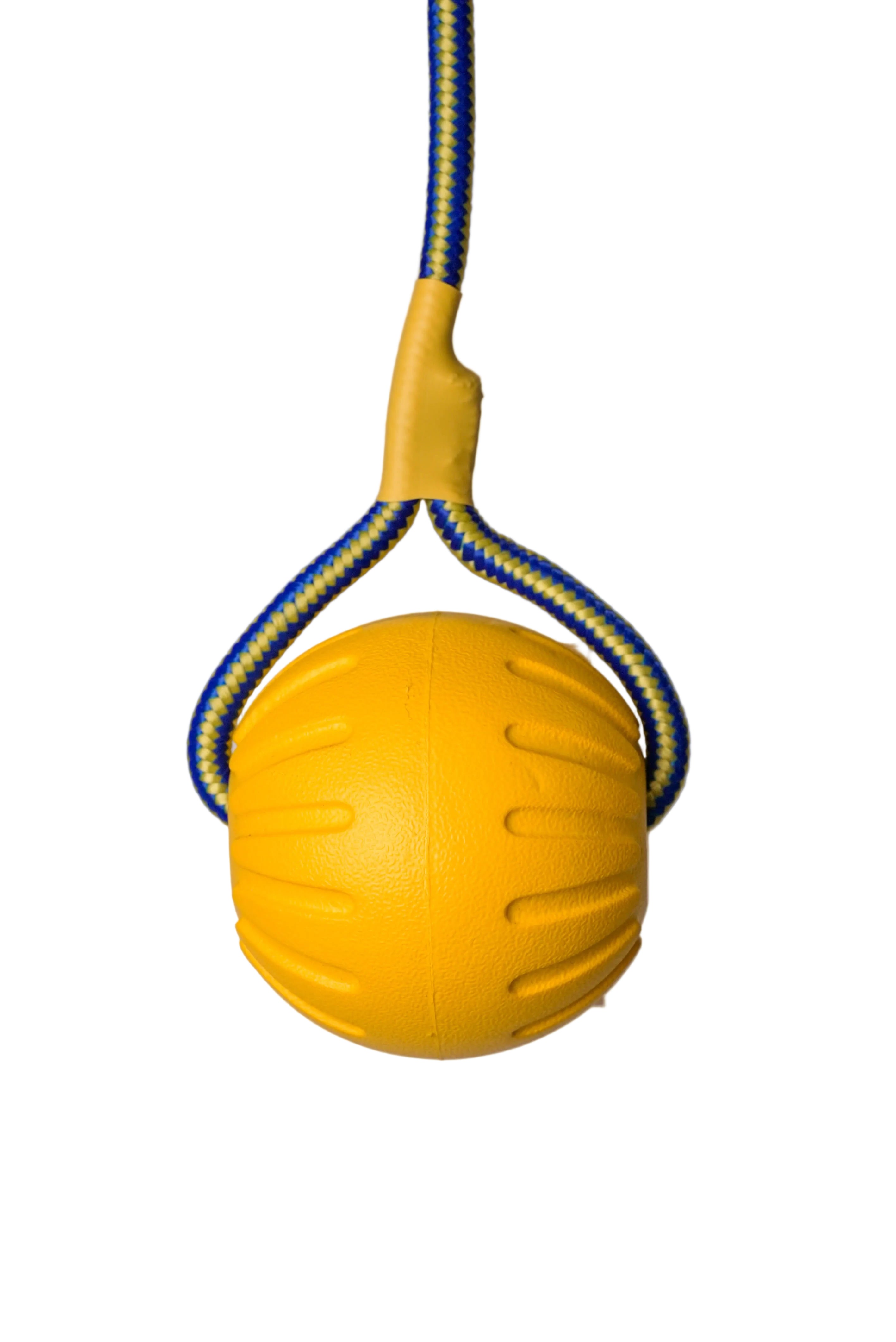Schweikert Yellow Foam Ball on a Rope front