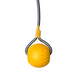 Schweikert Yellow Foam Ball on a Rope main