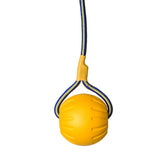 Schweikert Yellow Foam Ball on a Rope main