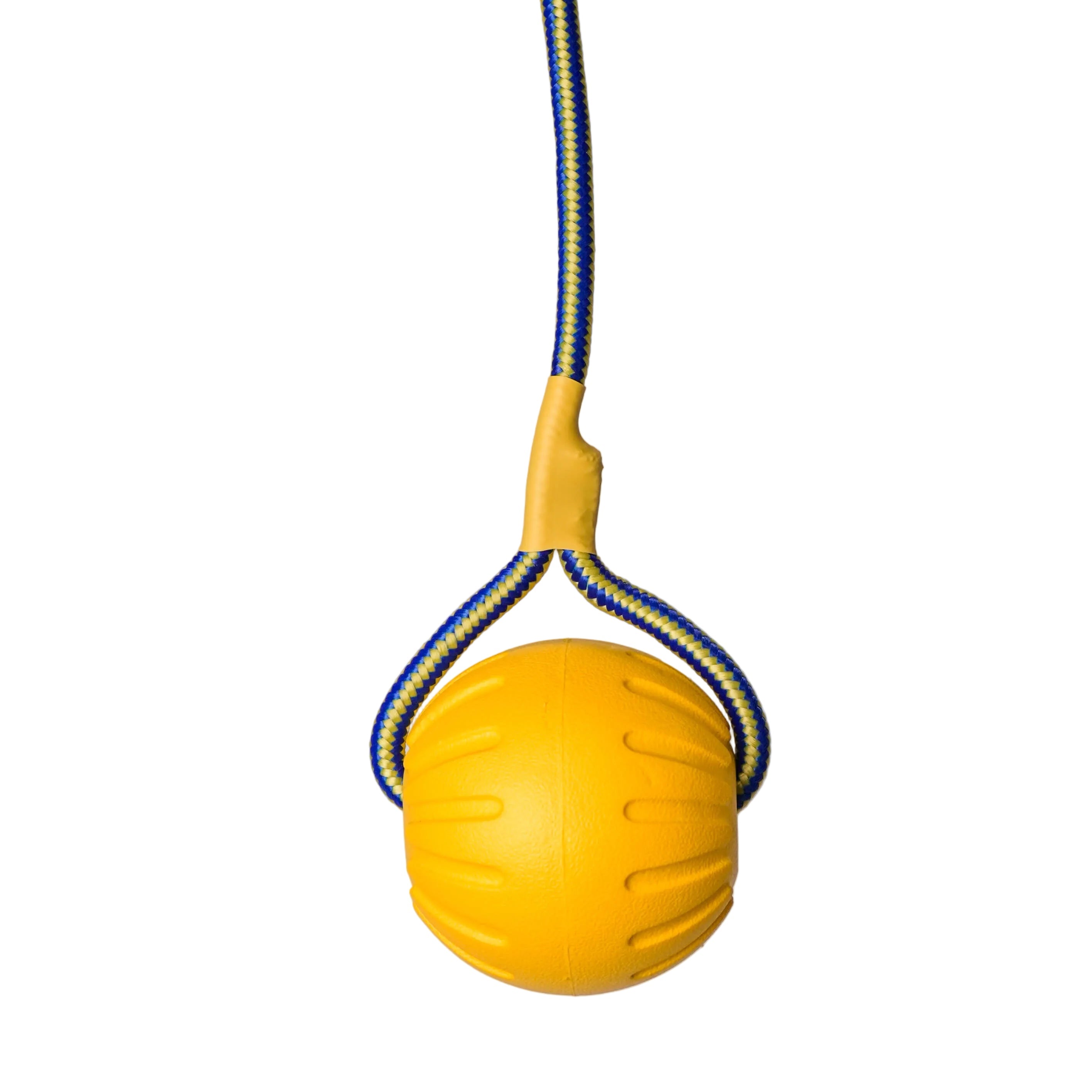 Schweikert Yellow Foam Ball on a Rope main