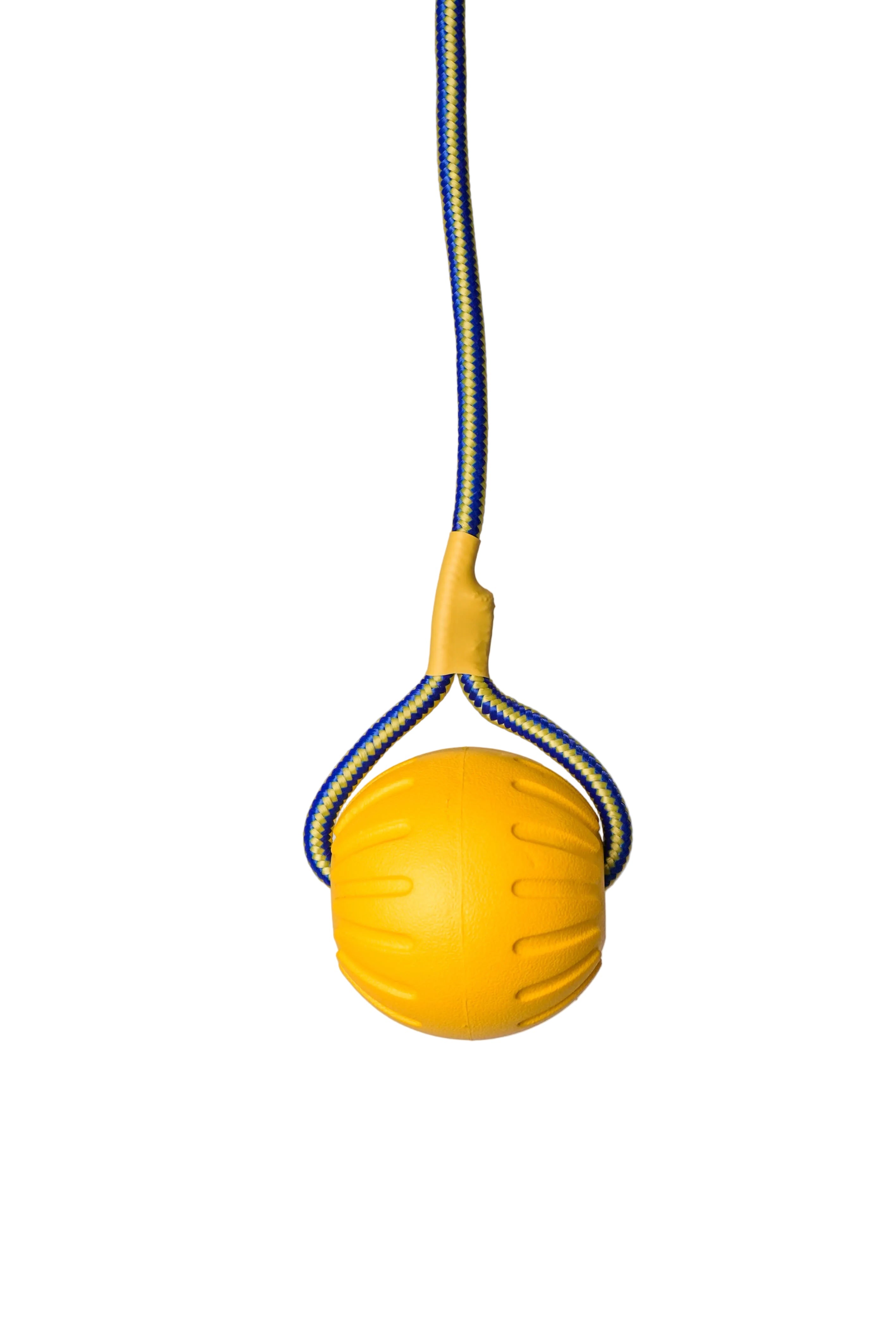Schweikert Yellow Foam Ball on a Rope main