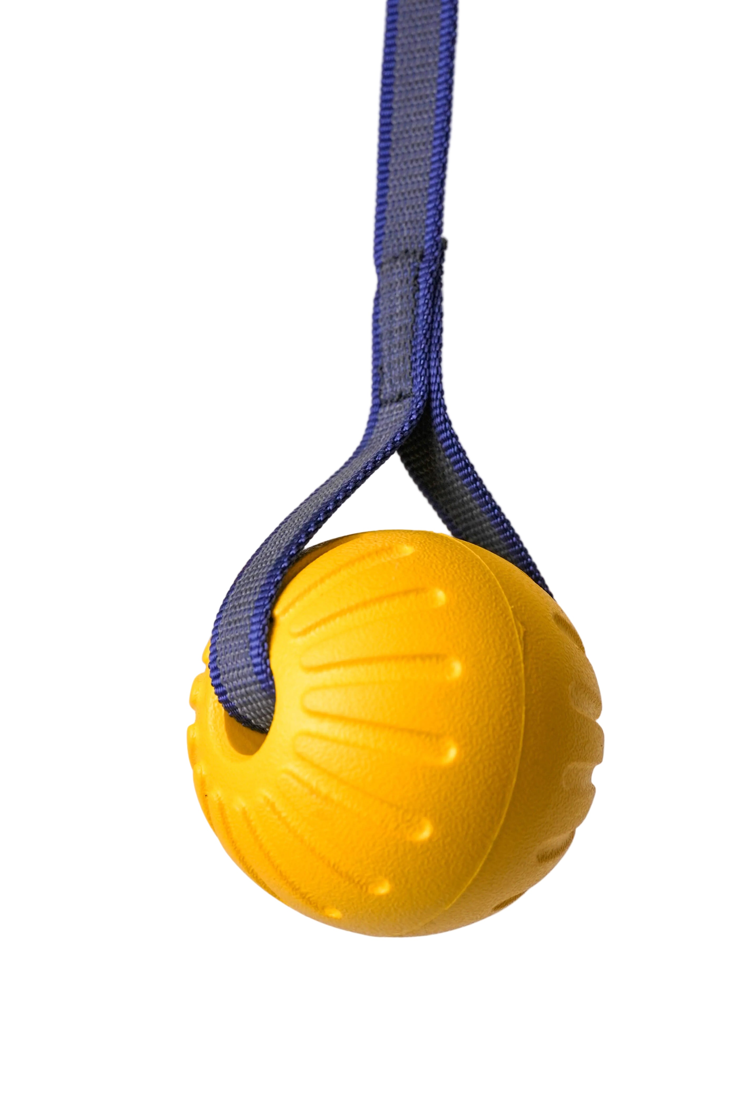 Schweikert Yellow Foam Ball on a String main