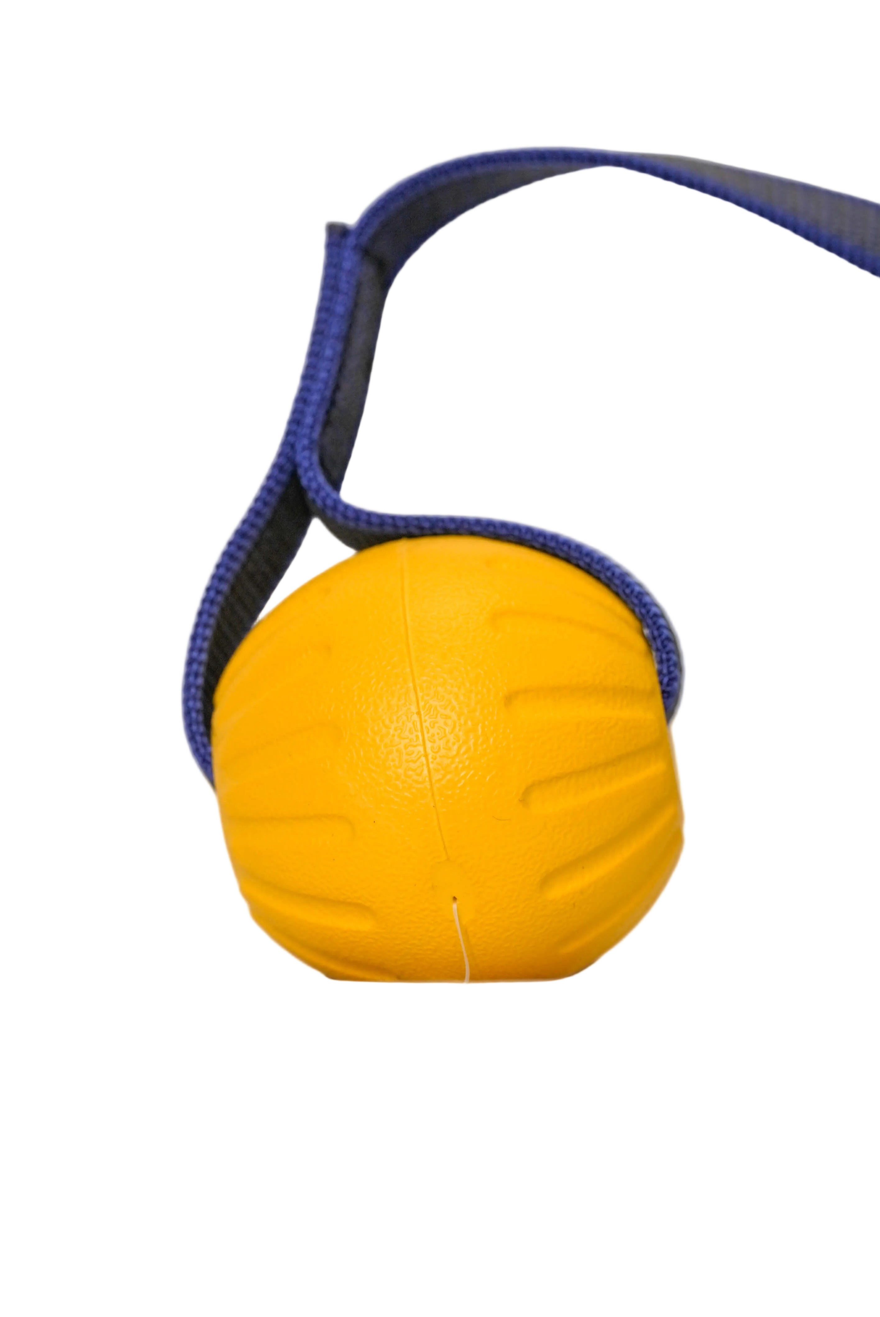 Schweikert Yellow Foam Ball on a String secure