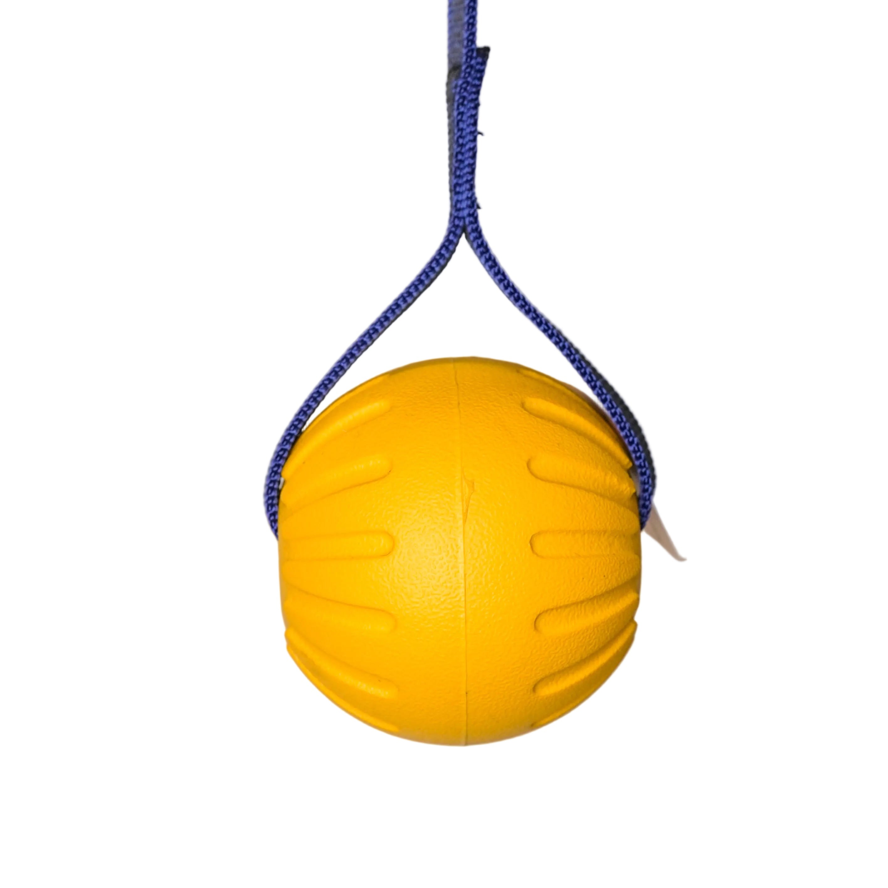 Schweikert Yellow Foam Ball on a String side