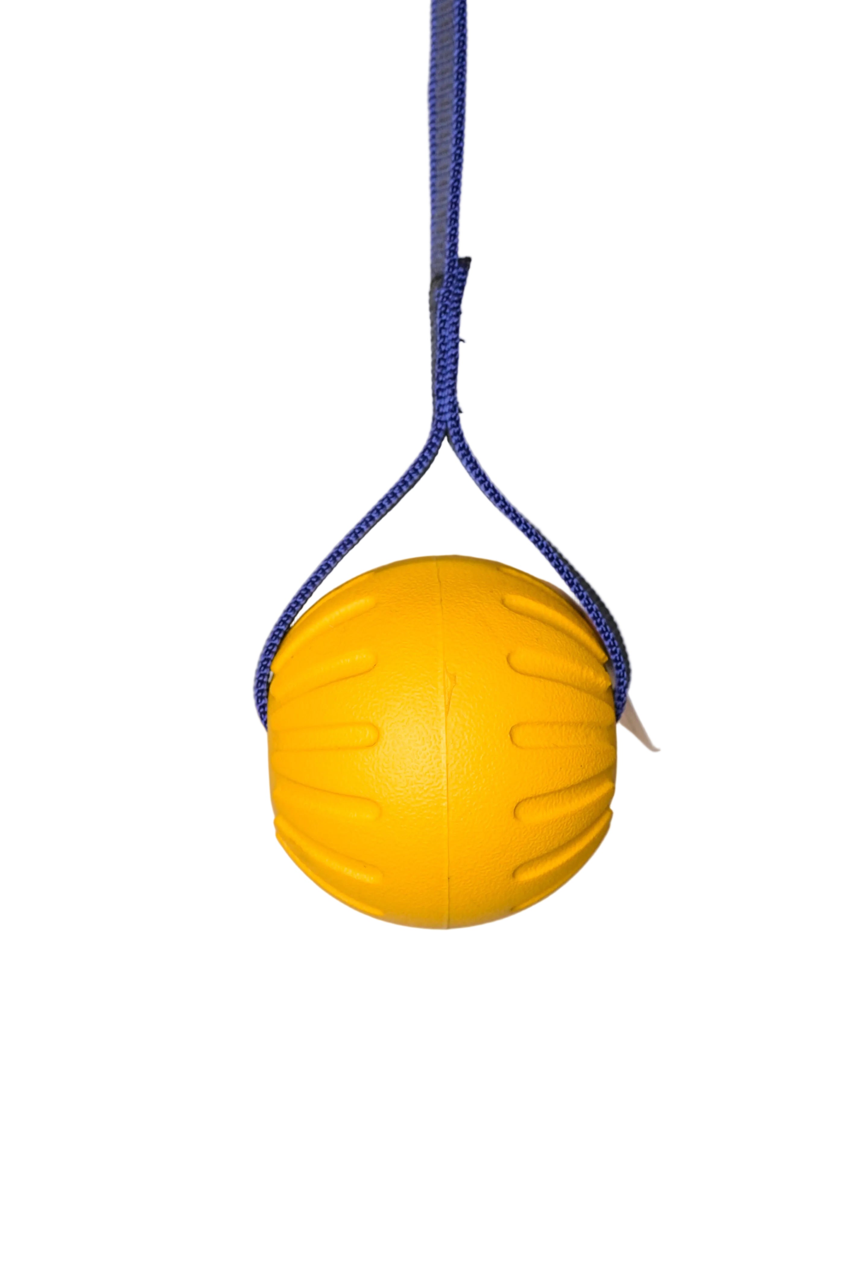 Schweikert Yellow Foam Ball on a String side