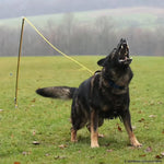 Sporthund Flexpole Backtie Protection Training working dog
