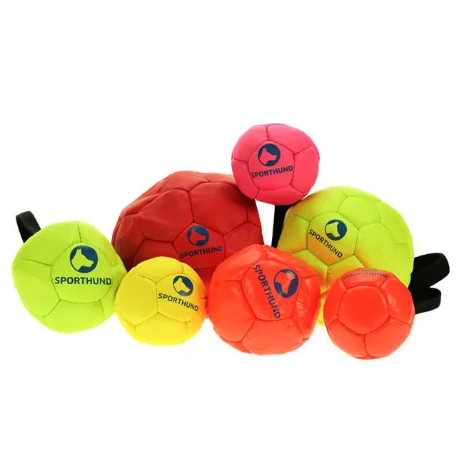 Sporthund Footballs With Handle