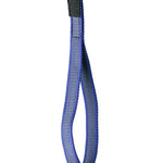 Schweikert grippy lead with handle 20mm blue  handle front