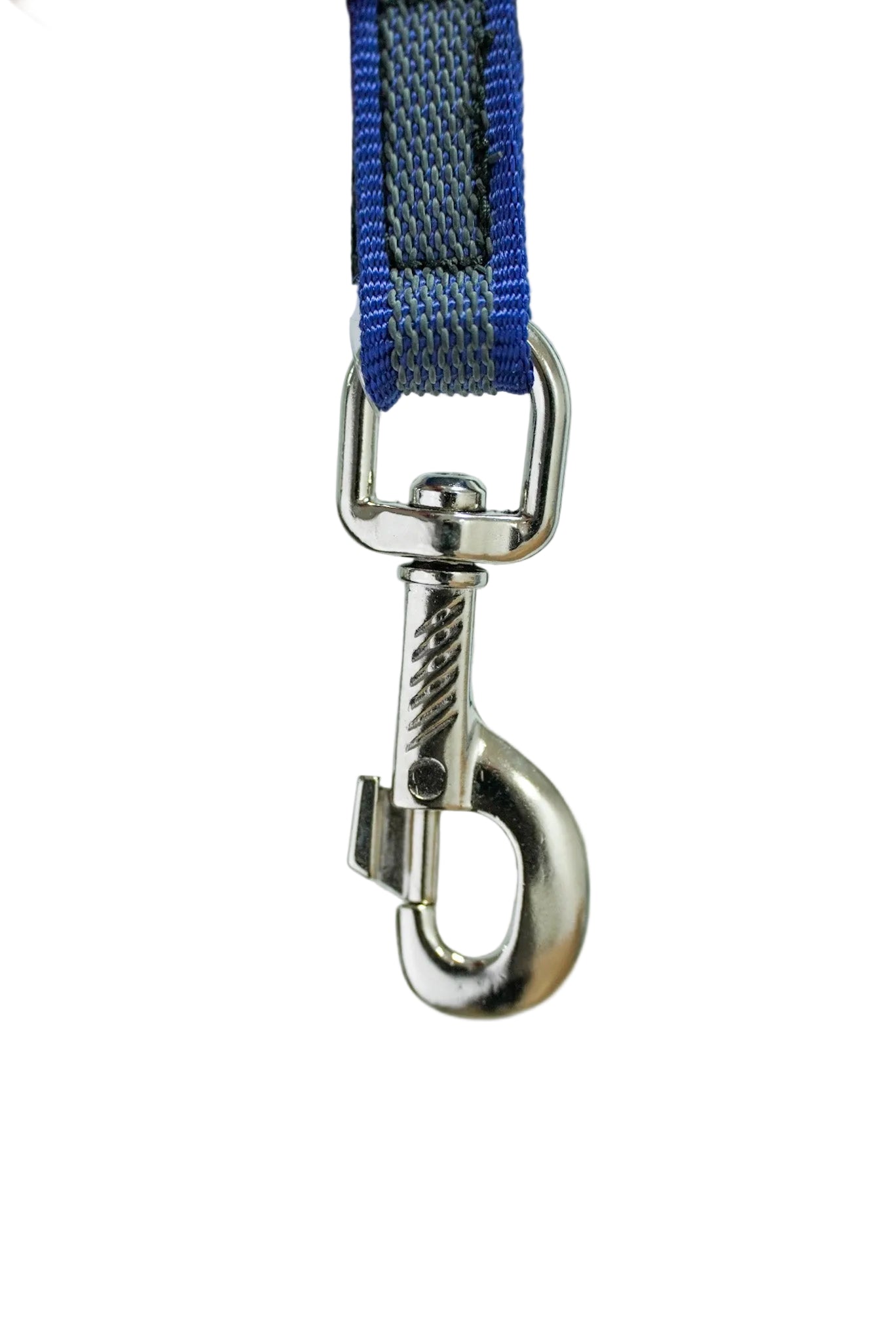 Schweikert grippy lead without handle 20mm blue hook clip