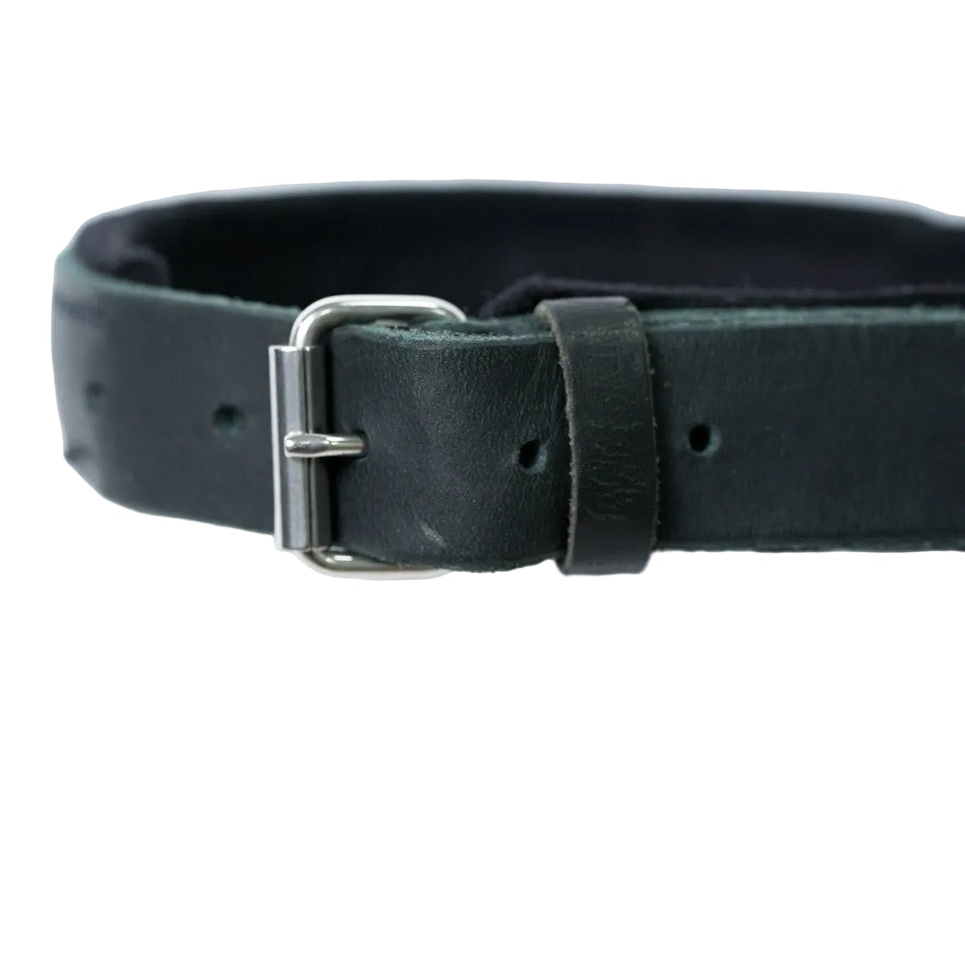Schweikert Leather dog collar with felt padding and handle - buckle