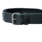 Schweikert Leather dog collar with felt padding and handle - buckle