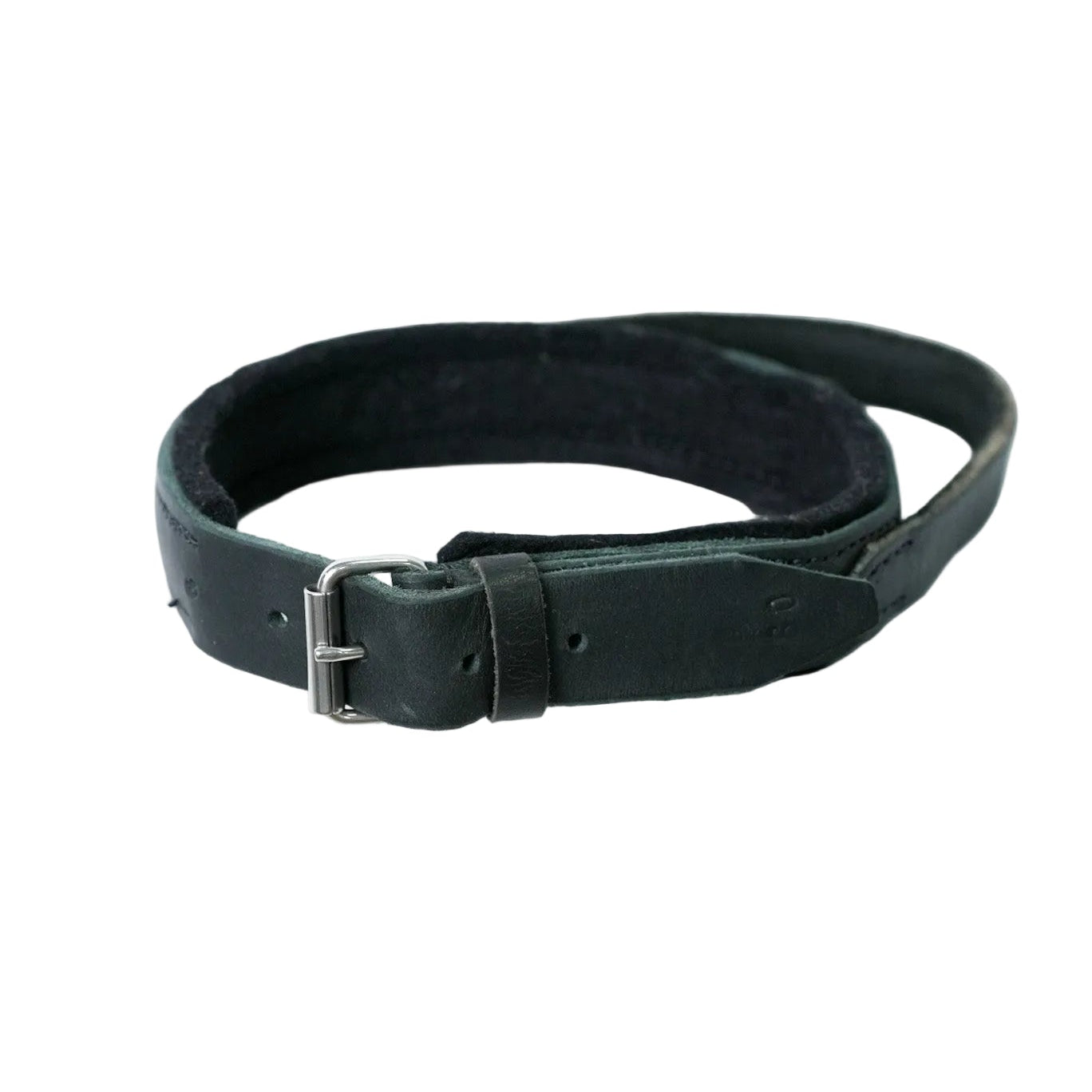 Schweikert Leather Dog Collar with Felt Padding & Handle Top